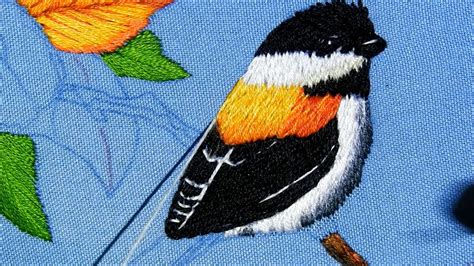 Como Bordar Un P Jaro Clase How To Embroidery A Bird Second Class