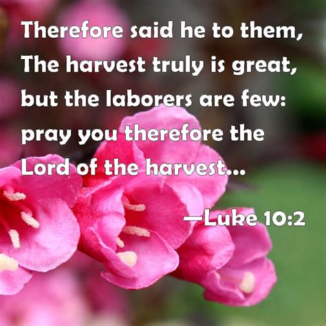 Luke 102 Therefore Said He To Them The Harvest Truly Is Great But