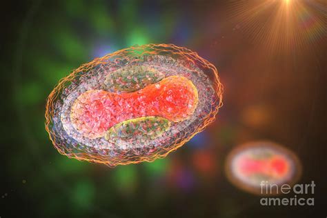 Molluscum Contagiosum Virus Photograph By Kateryna Konscience Photo