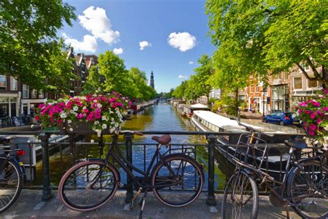 Zur Tulpenblüte nach Holland mit Blumencorso