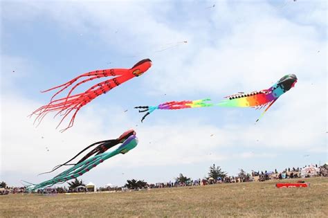 Premium Photo | Kite festival