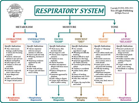 Respiratory System Flow Chart Ponasa