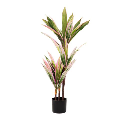 Roślina sztuczna TROPICAL ZONE dracena czerwona 90 cm HOMLA Homla