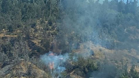 Reportan Incendio Forestal En Cerro San Crist Bal