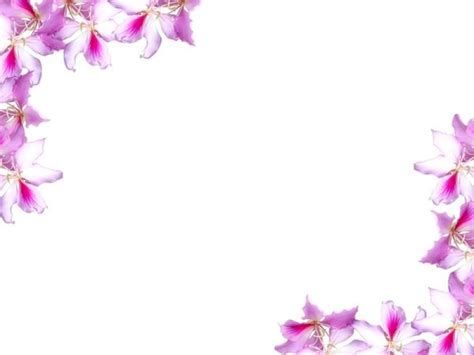 Floral Border With Flowers Backgrounds for Powerpoint Templates - PPT ...