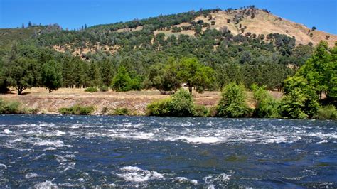 Random Images from a Nightowl: Along the American River in California ...