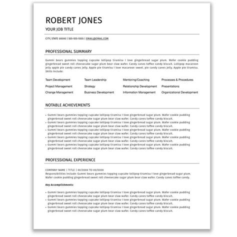 Ceo Resume Sample Word Free Resume Examples