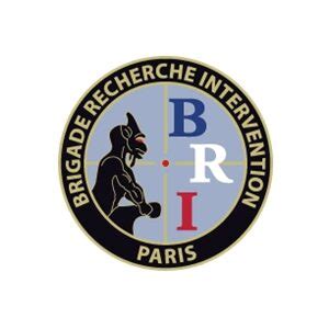 BRI LOGO Ouvry Systèmes de protection NRBC