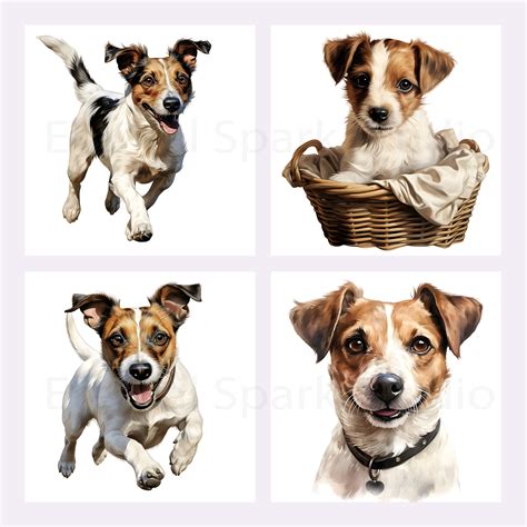 Watercolor Jack Russell Terrier Clip Art 10 High Quality 300 DPI