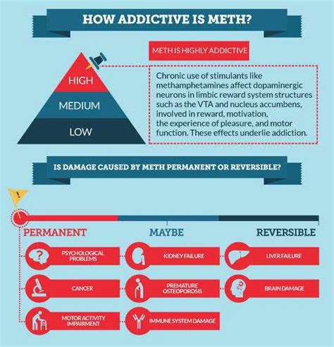 Meth Induced Psychosis Elevation Behavioral Health