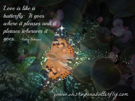 Butterfly Poems and sayings - an assortment of poems about butterflies