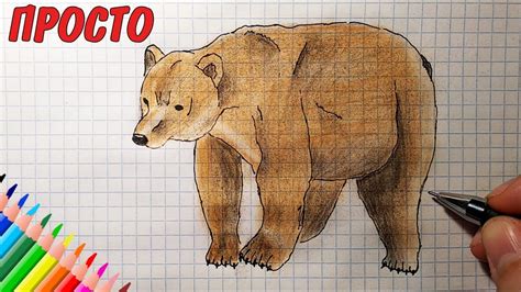 Как нарисовать МЕДВЕДЯ /1080р/How to draw a BEAR - YouTube