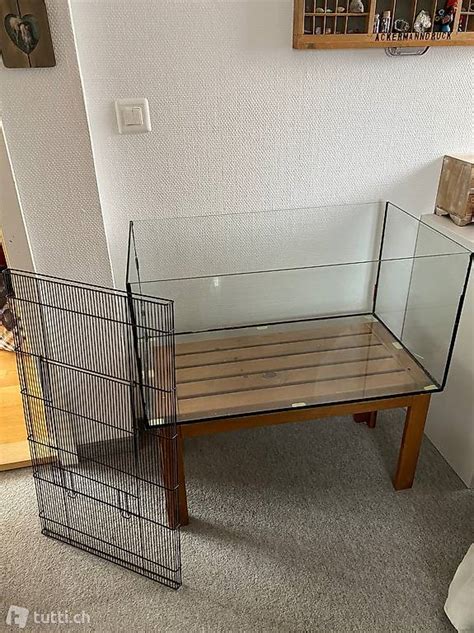 Terrarium F R Kleine Nager Zwerghamster Etc Im Kanton St Gallen