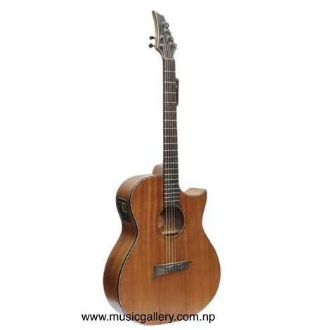 Brown Sqoe DTD Appolo Acoustic Guitar (Walnut) 41 inches Matte Finish - Nepal Music Gallery