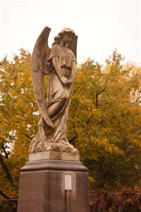 Mount Hope Cemetery Kitchener, Ontario | Canada travel, Cemetery, Mount ...