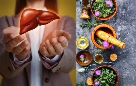 Best Herbs For Liver Nourish Your Liver Naturally