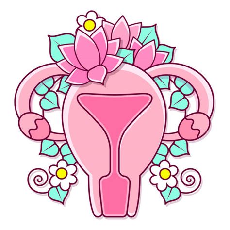 Labia Backgrounds Illustrations Royalty Free Vector Graphics And Clip Art Istock