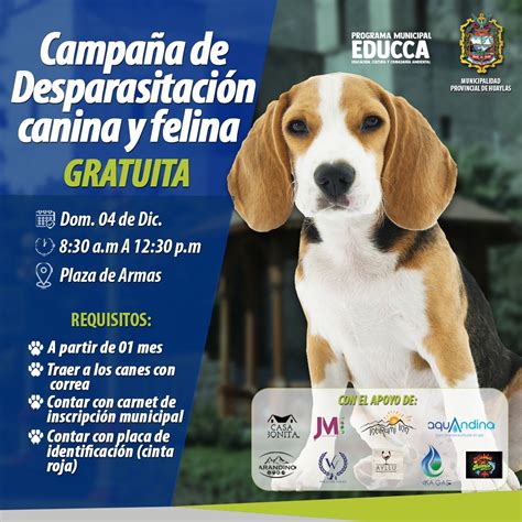 Campaña de desparasitación canina y felina GRATUITO Campañas