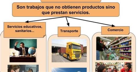 Ciencias Sociales Carlos A Sánchez Sector Terciario