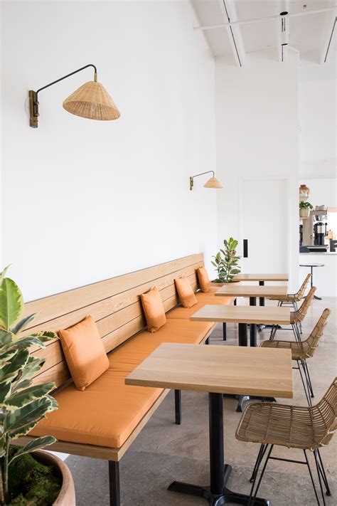 empty cafe design  wooden benches  plants minimalist