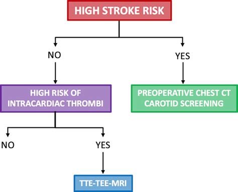 Considerations For Reduction Of Risk Of Perioperative Stroke In Adult