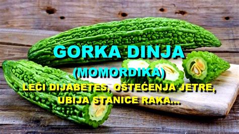 GORKA DINJA MOMORDIKA LEČI DIJABETES OŠTEĆENJA JETRE YouTube