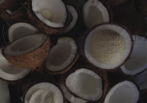 hoococo leading supplier exporter  world  quality coconut