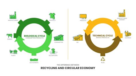 The Vector Infographic Diagram Of The Difference Between The Circular