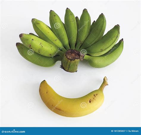 Bunch Of Mini Bananas Or Baby Bananas Bio Small And Extra Sweet With