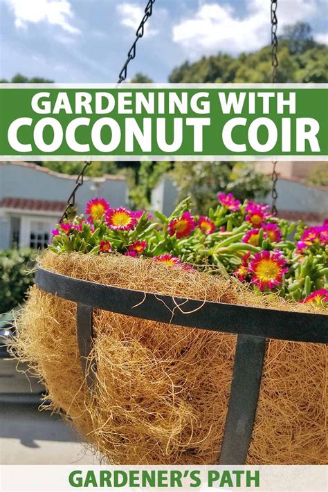 Learn How to Use Coconut Coir Products in the Garden