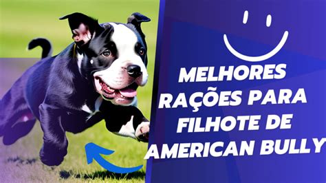 As melhores rações para o american bully adulto