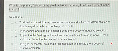 Solved What is the primary function of the pre-T cell | Chegg.com
