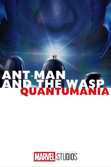 Ant Man And The Wasp Quantumania Koalee The Poster Database