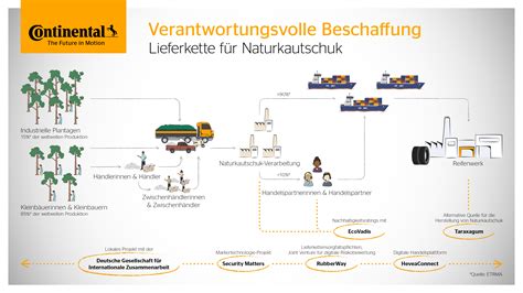 Verantwortliche Beschaffung von Naturkautschuk Continental übernimmt