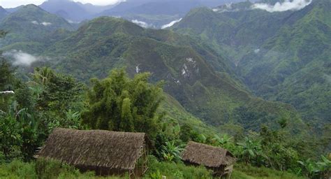 Fair Trade Organic Papua New Guinea Purosa Vournas Coffee Trading