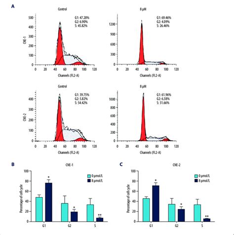 Effect Of Inhibition Of Foxm1 On Npc Cell Cycle Progression A Cne 1