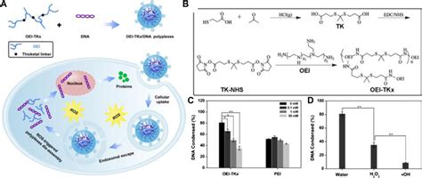 A Schematic Diagram Of Ros Responsive Nanoparticles And Chemical