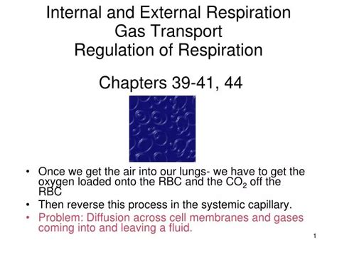 Ppt Internal And External Respiration Gas Transport Regulation Of