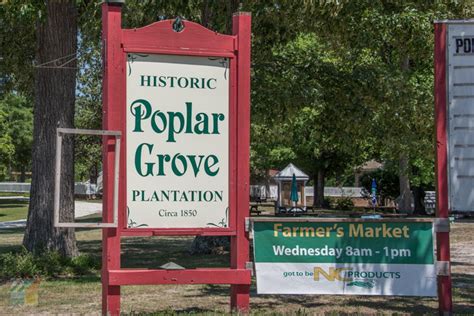 Poplar Grove Plantation - Wilmington-NC.com