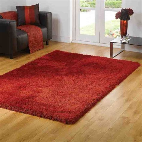 Red Rugs for Living Room | Rugs in living room, Plain rugs, Rugs on carpet