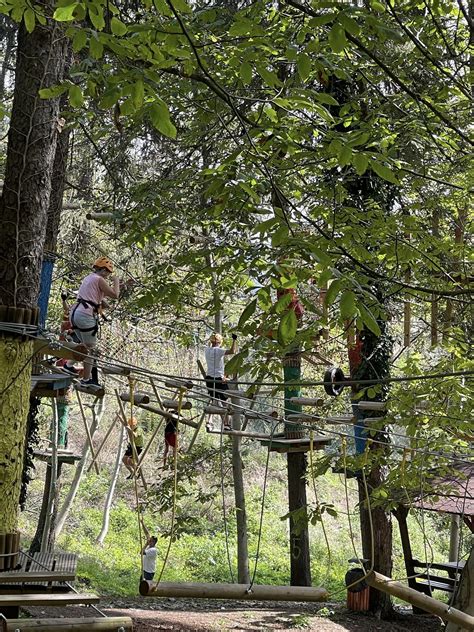 Park Aventura Buridava Cel mai mare parc de aventură din Vâlcea