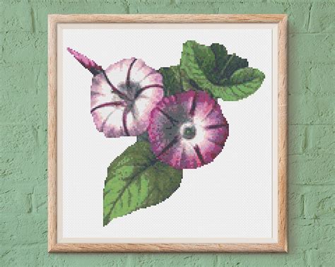 Morning Glory Flower Free Cross Stitch Pattern Colourful Cross Stitch