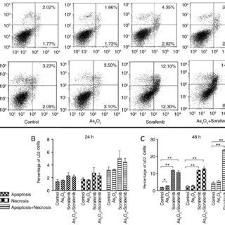 Synergistic Effect Of As O And Sorafenib On Apoptosis Of L