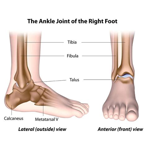 sprain  fracture     difference qzeof