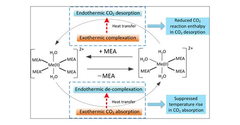 Mechanism Investigation Of Advanced Metalionmediated Amine