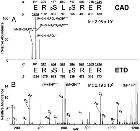 Peptide And Protein Sequence Analysis By Electron Transfer Dissociation Mass Spectrometry Pnas