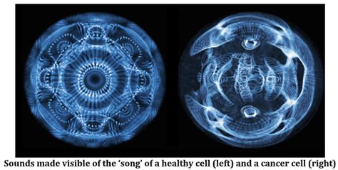 Of Waves and Vibrations: Cymatics in Healthcare - The Checkup