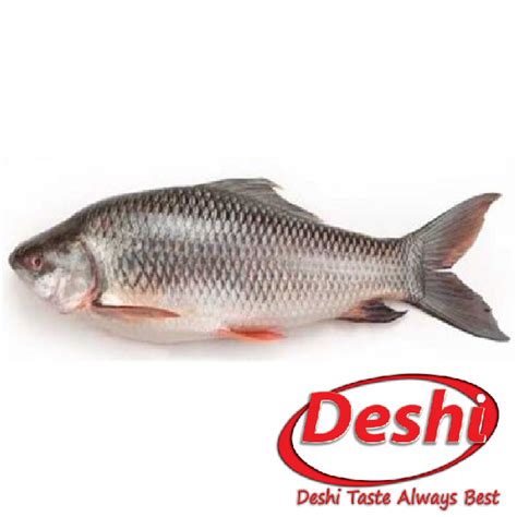 Rohu Fish Whole (2 Kg up - 8 Kg up) 20 Kg pack - Belaamie