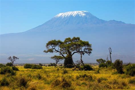 Amboseli Park Is Biosphere Reserve Stock Image - Image of empty, africa: 211777491