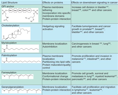 Frontiers Protein Lipidation As A Regulator Of Apoptotic Calcium